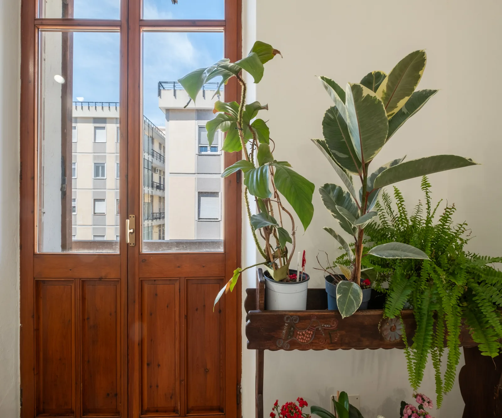 Casa Ofride -Centro-Poetto 10 min-Wi-Fi-Netflix - foto 10